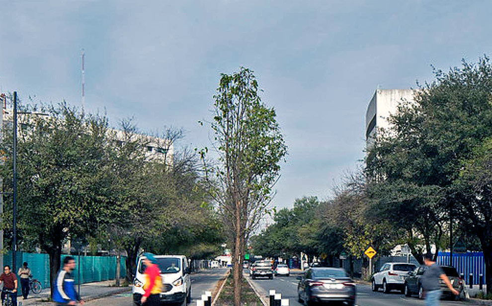 imagem de pessoas atravessando uma rua movimentada