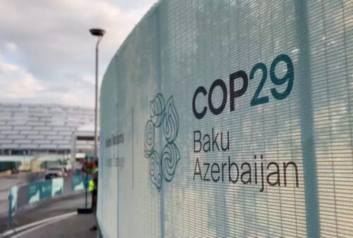 COP29