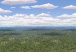 vista aérea amazonface