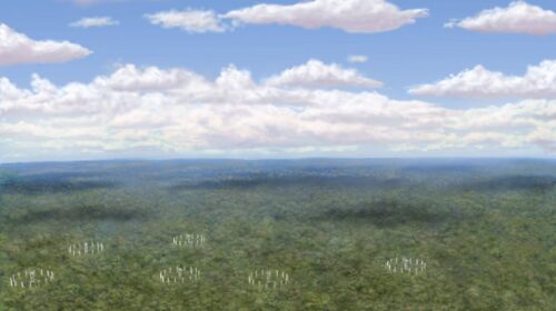 vista aérea amazonface