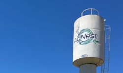 agnest